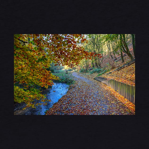 Hubbards Hills, Louth, Lincolnshire, Autumn Leaves by tommysphotos